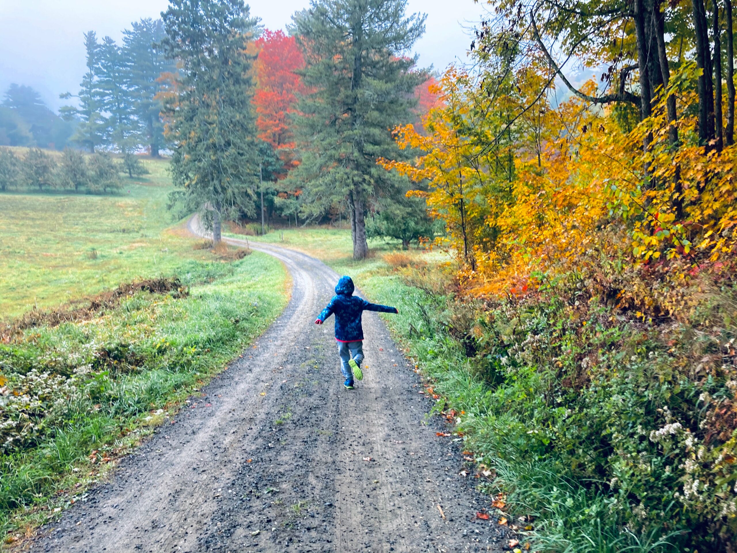 Child running down a bath bordered by fall foliage in Vermont
