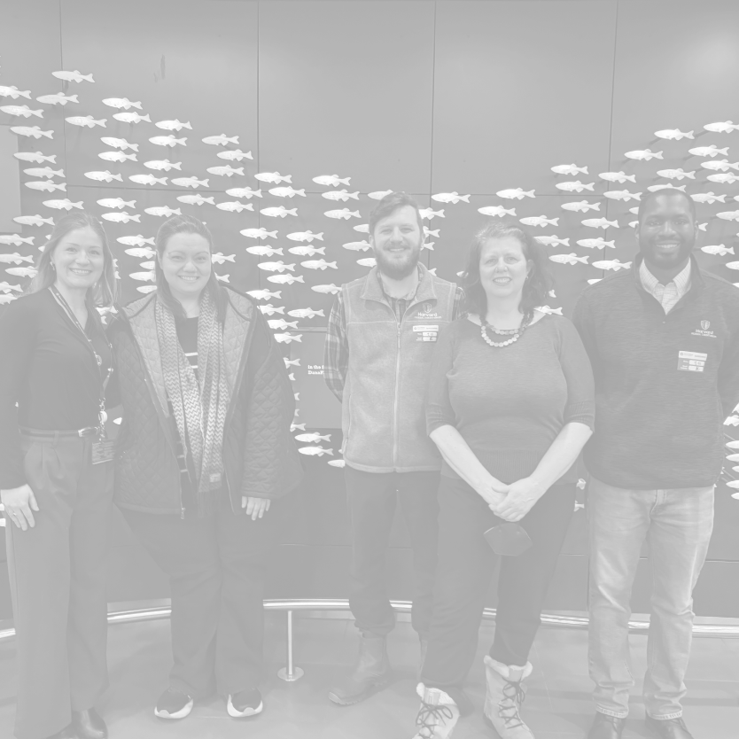 highlight-id-rAFqqJhHw4